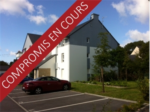 appartement à la vente -   56870  BADEN, surface 45 m2 vente appartement - APR552542